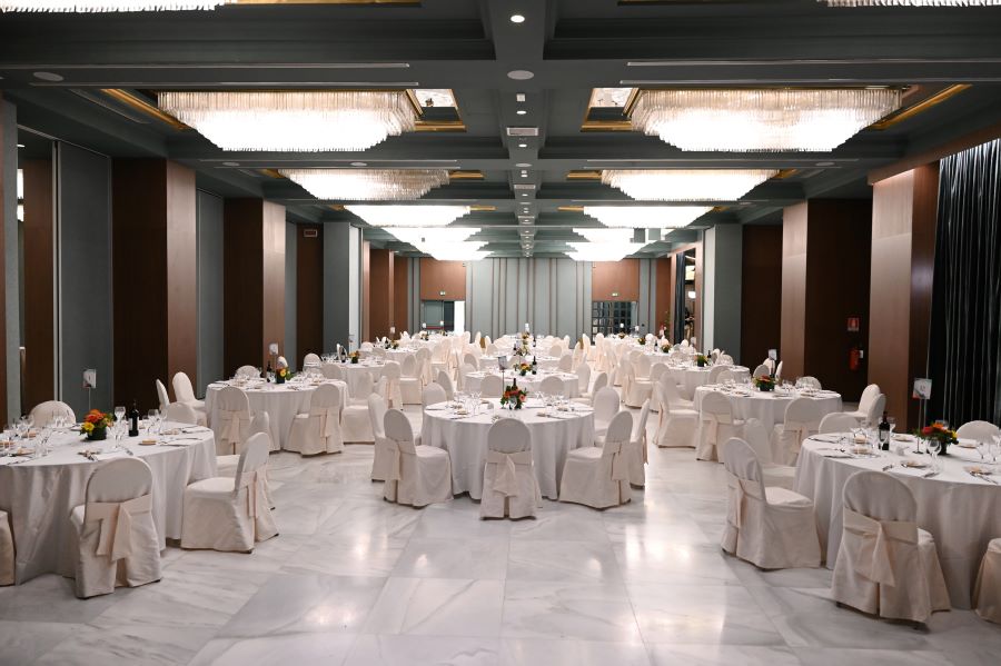 Flawless execution of the Ordine dei Farmacisti gala dinner in Milan