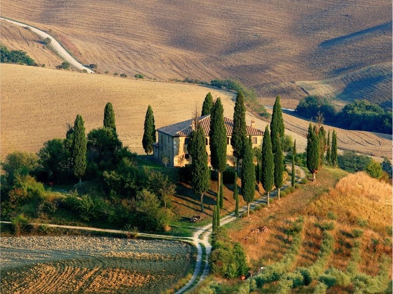 Dreams of vines and olive trees: how to transform incentive travel into a life-changing experience